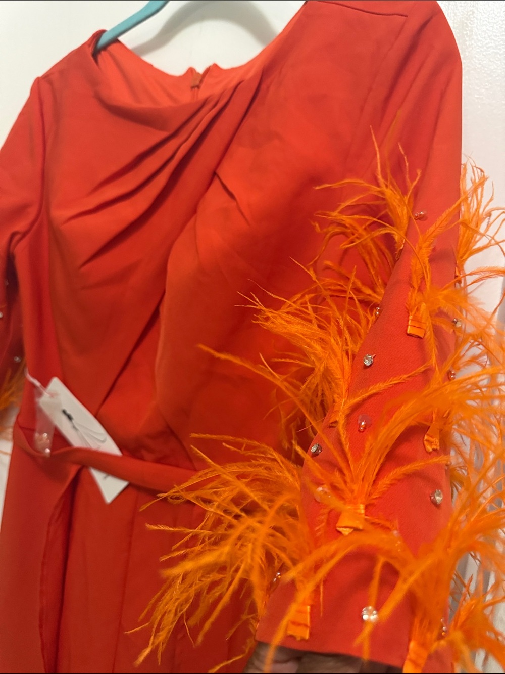 Red Feather Sleeve Evening Jumpsuit - Picture 6 of 6